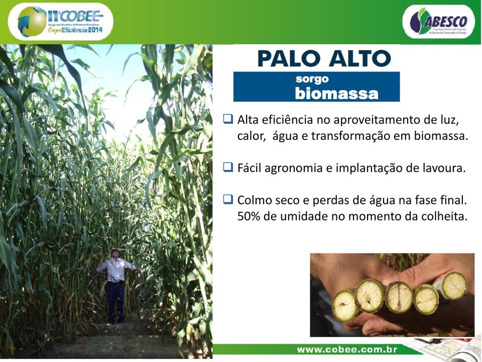 Fácil agronomia e implantação de lavoura.