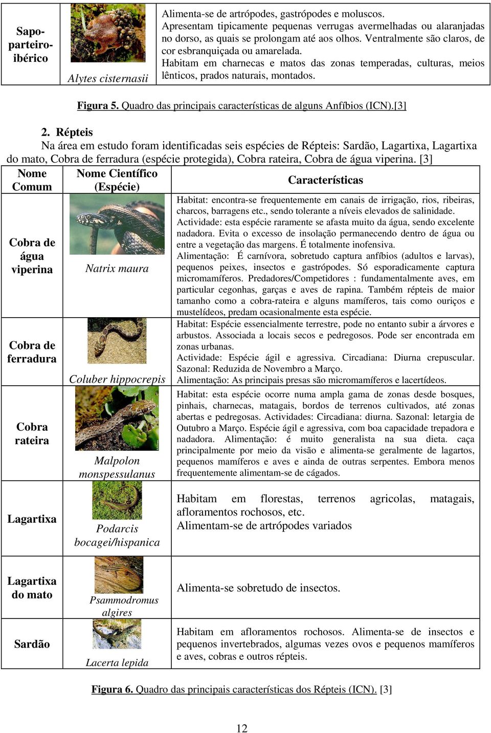 Habitam em charnecas e matos das zonas temperadas, culturas, meios lênticos, prados naturais, montados. Figura 5. Quadro das principais características de alguns Anfíbios (ICN).[3] 2.