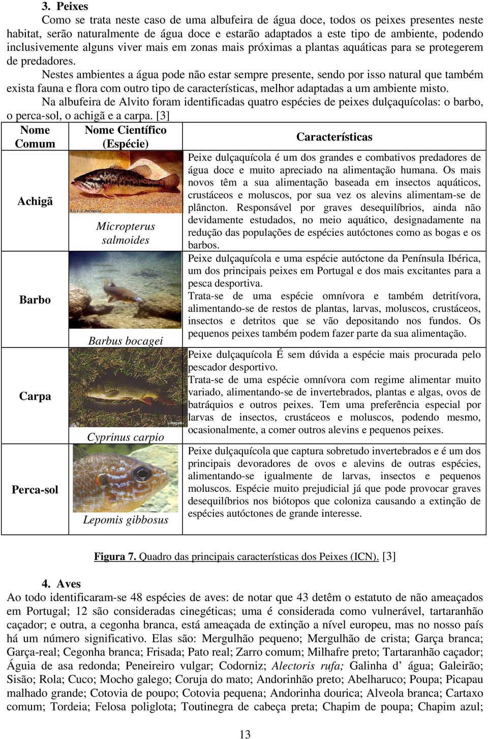 Nestes ambientes a água pode não estar sempre presente, sendo por isso natural que também exista fauna e flora com outro tipo de características, melhor adaptadas a um ambiente misto.