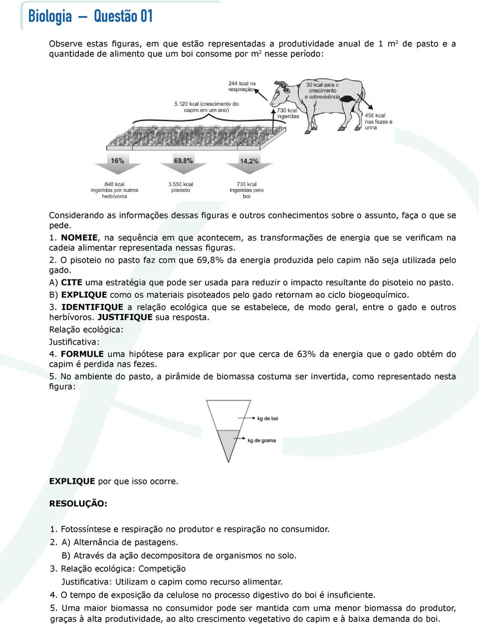 NOMEIE, na sequência em que acontecem, as transformações de energia que se verificam na cadeia alimentar representada nessas figuras. 2.