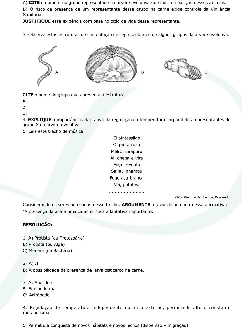 Observe estas estruturas de sustentação de representantes de alguns grupos da árvore evolutiva: A B C CITE o nome do grupo que apresenta a estrutura A: B: C: 4.