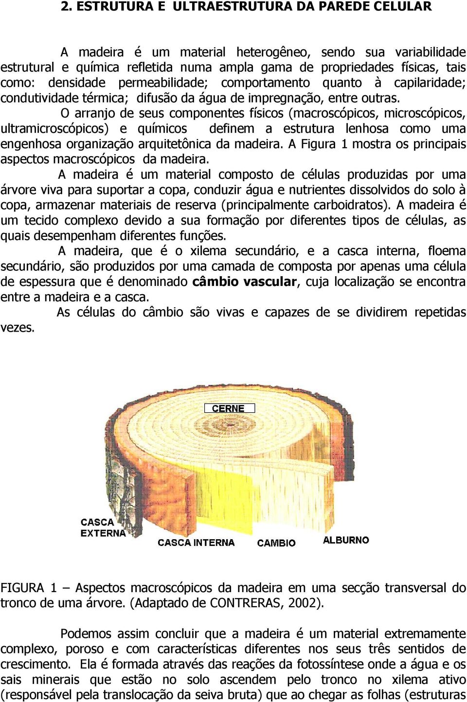 O arranjo de seus componentes físicos (macroscópicos, microscópicos, ultramicroscópicos) e químicos definem a estrutura lenhosa como uma engenhosa organização arquitetônica da madeira.
