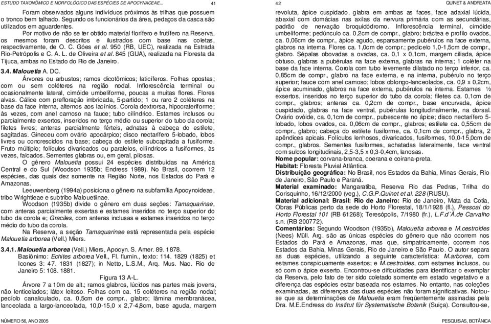 950 (RB, UEC), realizada na Estrada Rio-Petrópolis e C. A. L. de Oliveira et al. 845 (GUA), realizada na Floresta da Tijuca, ambas no Estado do Rio de Janeiro. 3.4. Malouetia A. DC.