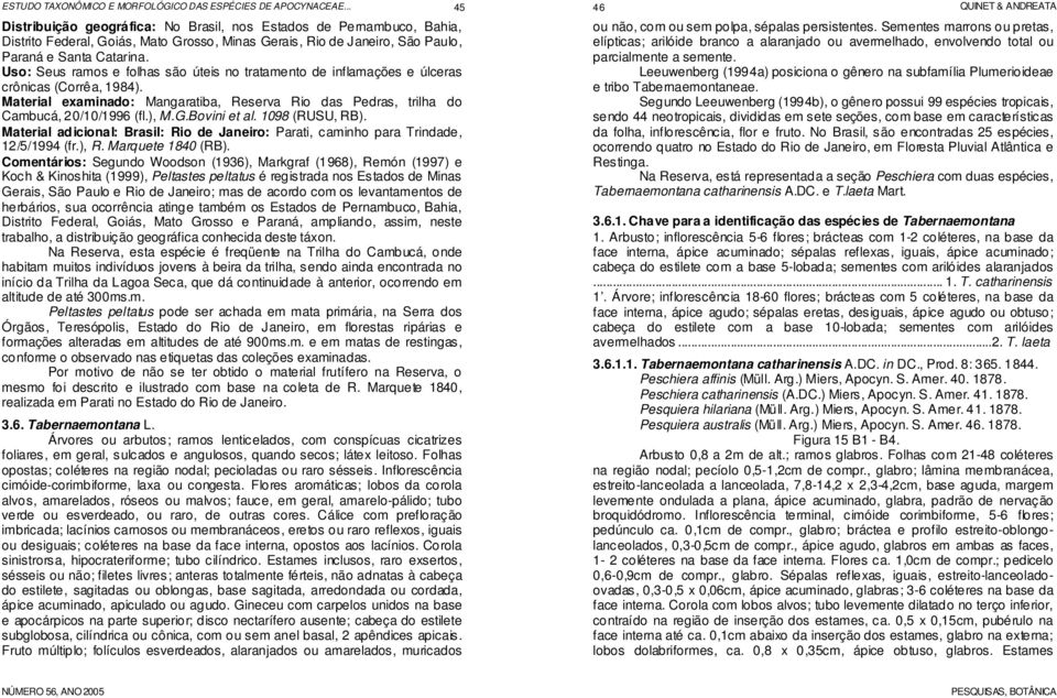 Bovini et al. 1098 (RUSU, RB). Material adicional: Brasil: Rio de Janeiro: Parati, caminho para Trindade, 12/5/1994 (fr.), R. Marquete 1840 (RB).