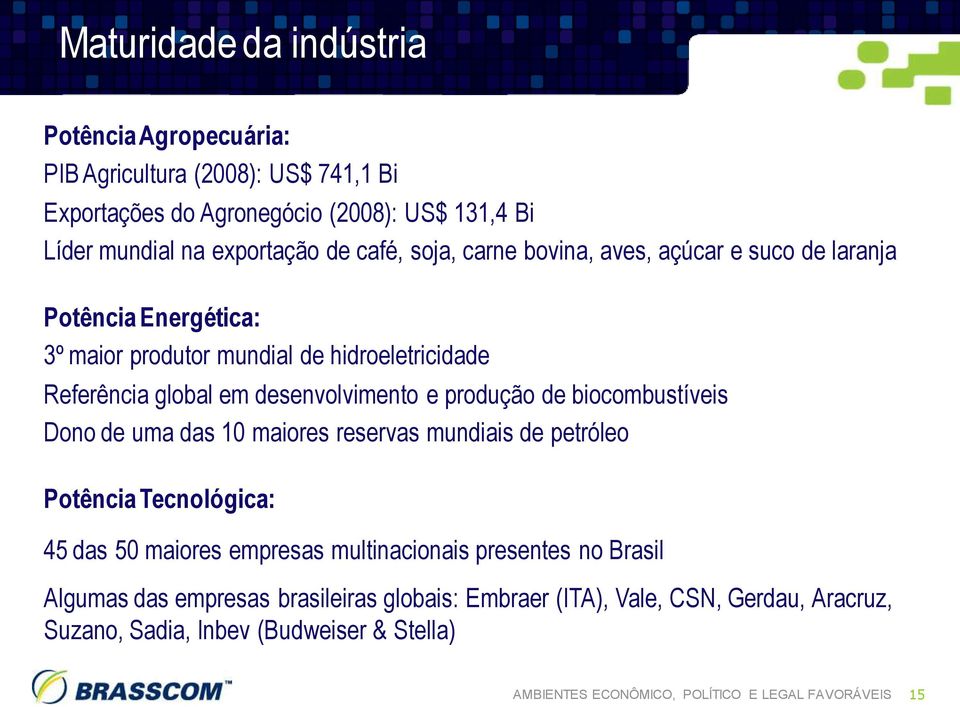 de biocombustíveis Dono de uma das 10 maiores reservas mundiais de petróleo Potência Tecnológica: 45 das 50 maiores empresas multinacionais presentes no Brasil Algumas