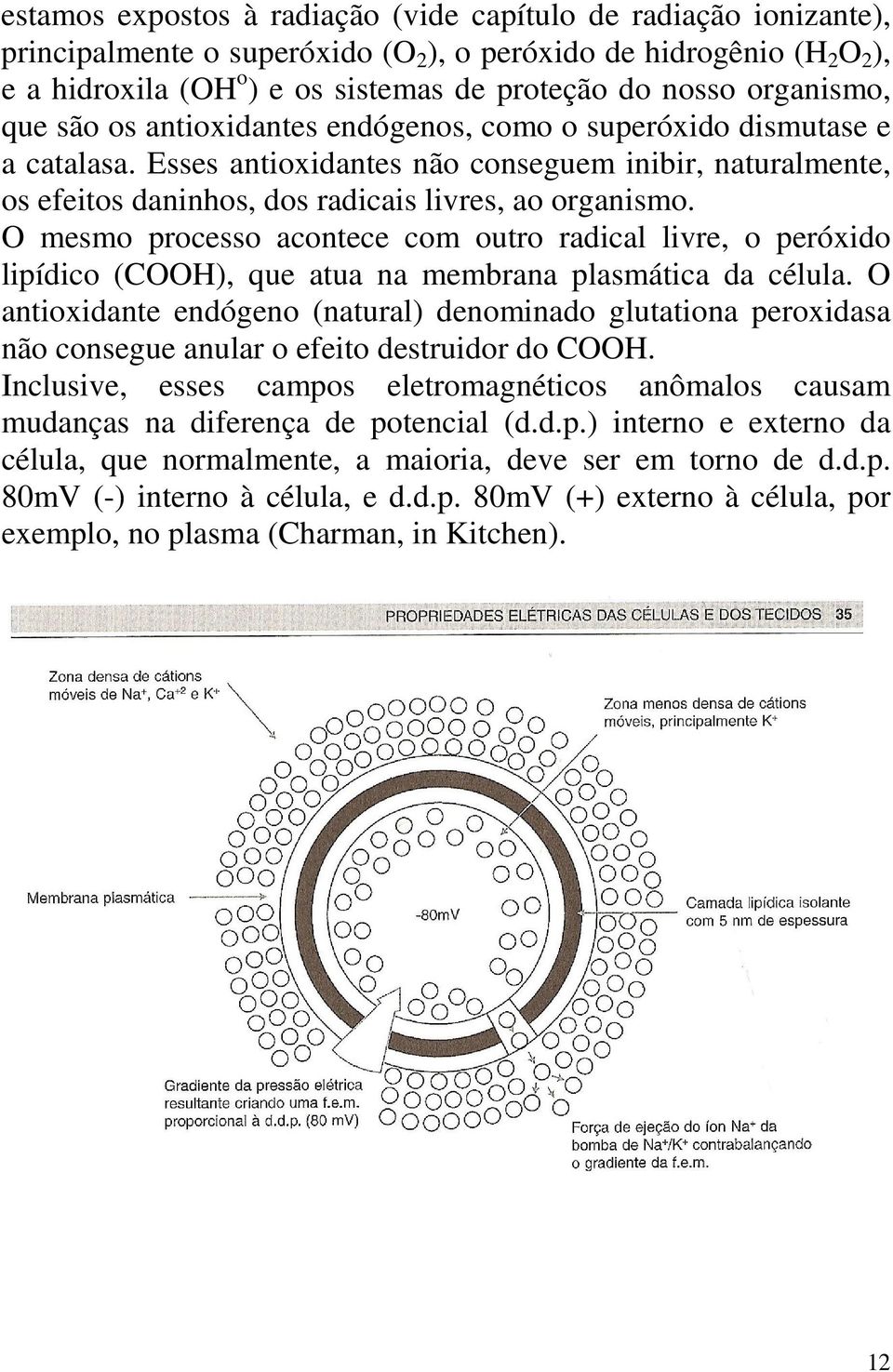 O mesmo processo acontece com outro radical livre, o peróxido lipídico (COOH), que atua na membrana plasmática da célula.