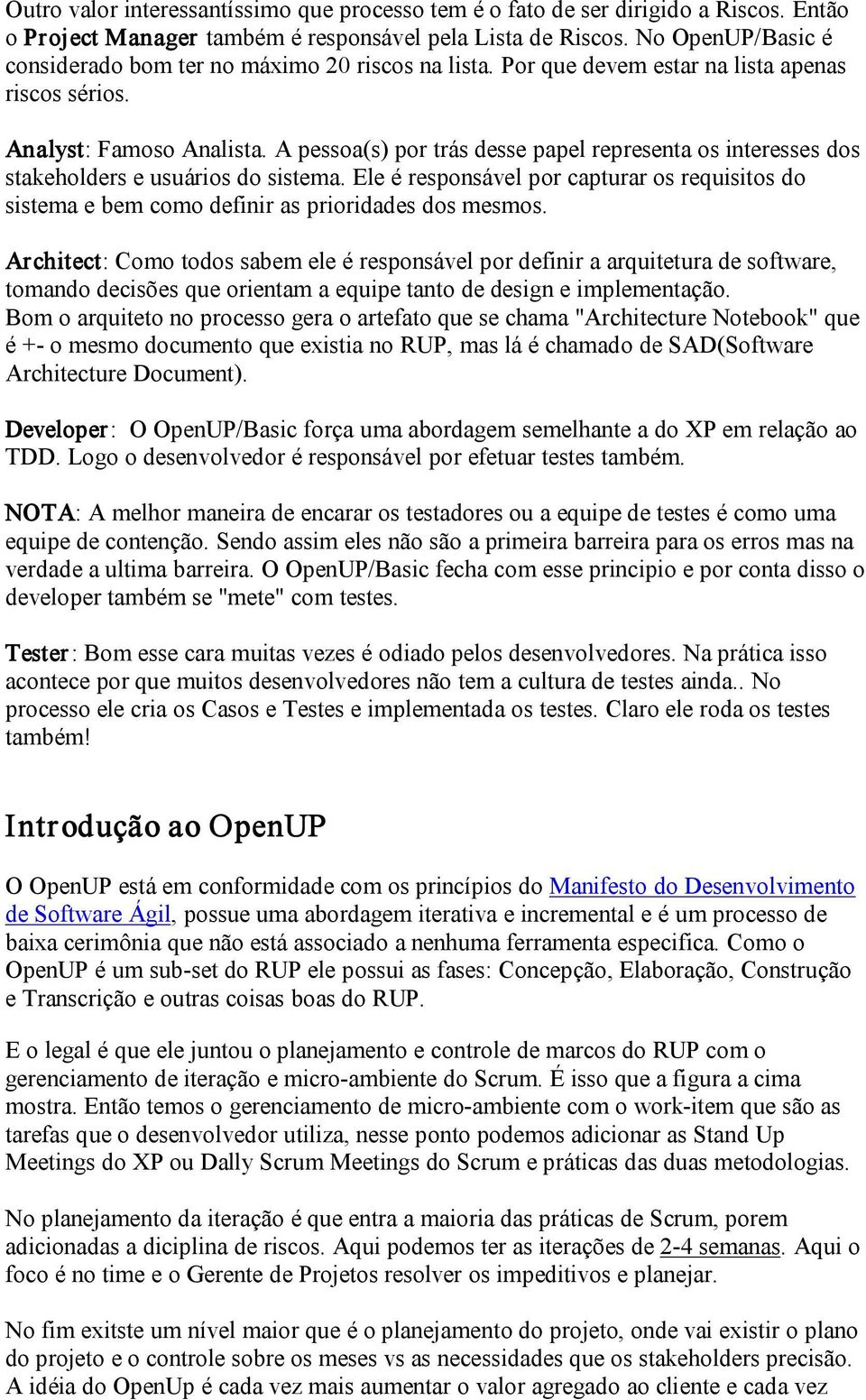 A pessoa(s) por trás desse papel representa os interesses dos stakeholders e usuários do sistema. Ele é responsável por capturar os requisitos do sistema e bem como definir as prioridades dos mesmos.