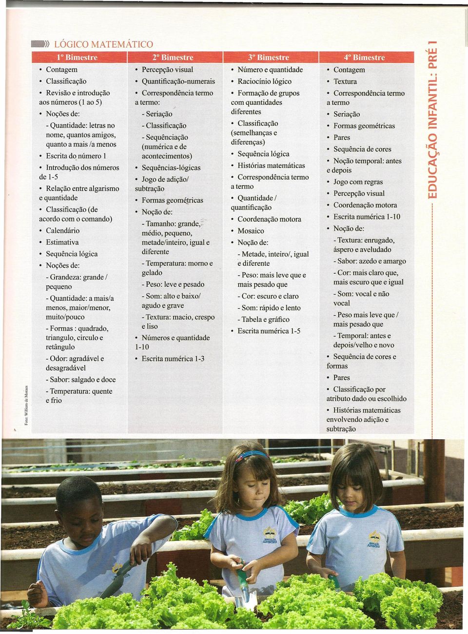 acordo com o comando) alendário Estimativa Sequência lógica Noções de: Grandeza: grande / pequeno Quantidade: a mais/a menos,maior/menor, muito/pouco Formas: quadrado, triangulo, circulo e retângulo