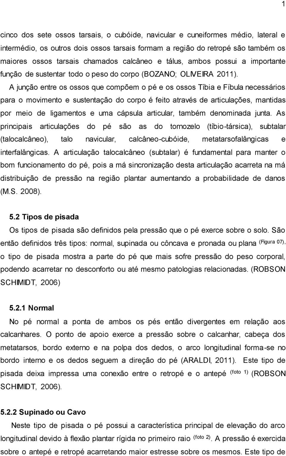 A junção entre os ossos que compõem o pé e os ossos Tíbia e Fíbula necessários para o movimento e sustentação do corpo é feito através de articulações, mantidas por meio de ligamentos e uma cápsula