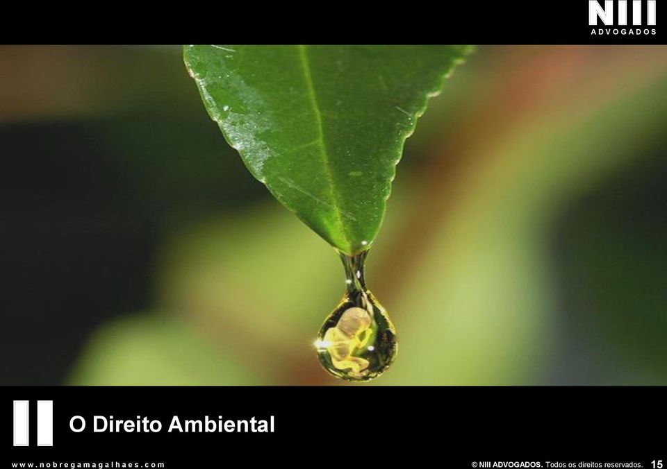 Ambiental