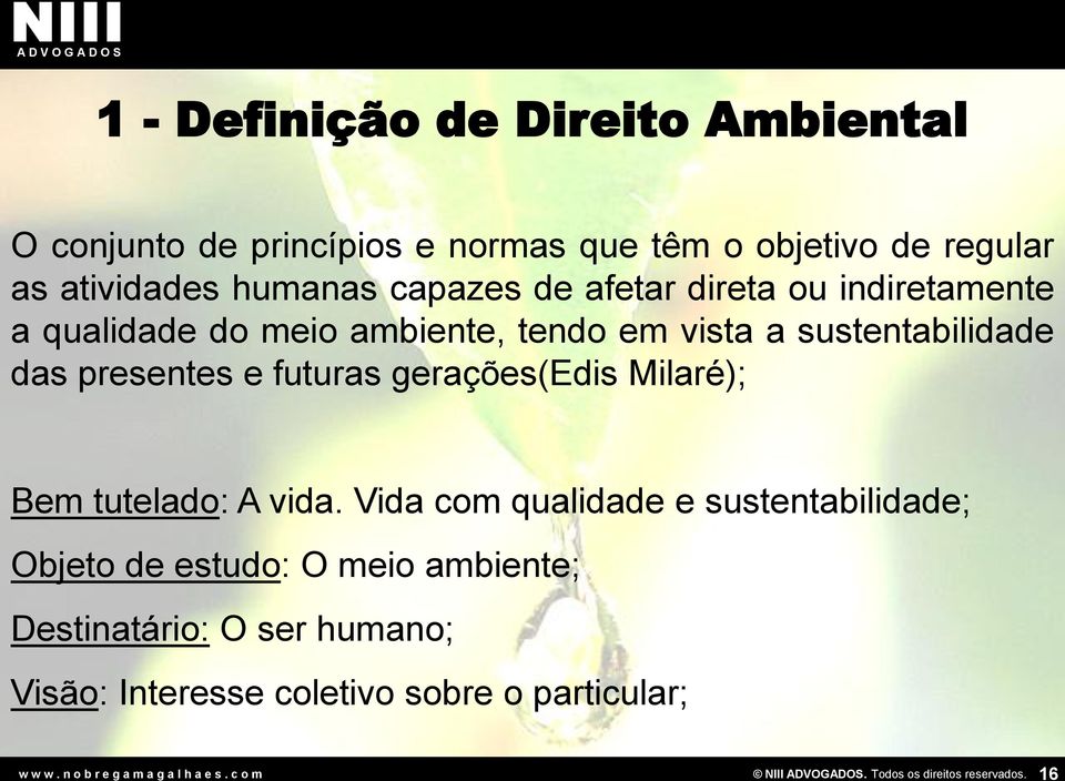 sustentabilidade das presentes e futuras gerações(edis Milaré); Bem tutelado: A vida.