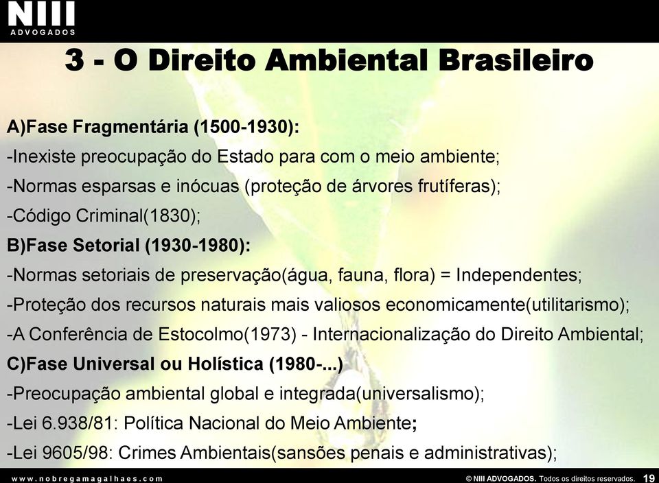 naturais mais valiosos economicamente(utilitarismo); -A Conferência de Estocolmo(1973) - Internacionalização do Direito Ambiental; C)Fase Universal ou Holística (1980-.