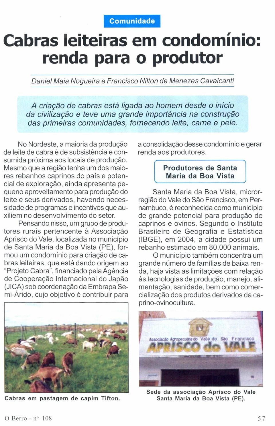 No Nordeste, a maioria da produção de leite de cabra é de subsistência e consumida próxima aos locais de produção.