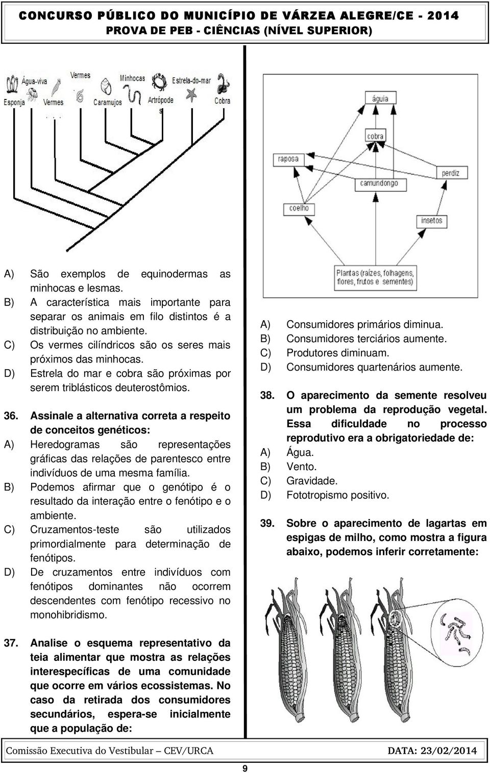 Assinale a alternativa correta a respeito de conceitos genéticos: A) Heredogramas são representações gráficas das relações de parentesco entre indivíduos de uma mesma família.