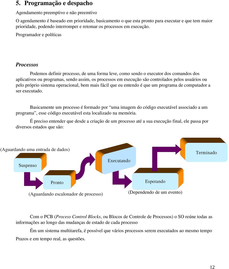 Programador e políticas Processos Podemos definir processo, de uma forma leve, como sendo o executor dos comandos dos aplicativos ou programas, sendo assim, os processos em execução são controlados