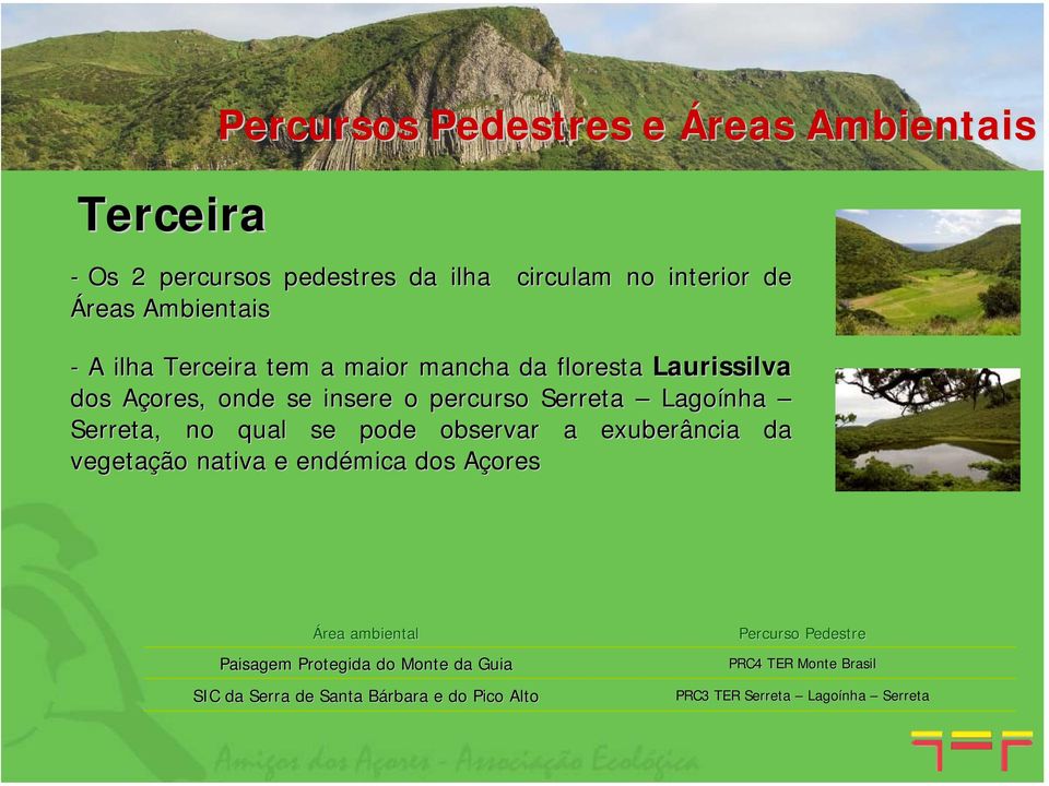 no qual se pode observar a exuberância da vegetação nativa e endémica dos AçoresA Área ambiental Paisagem Protegida do Monte