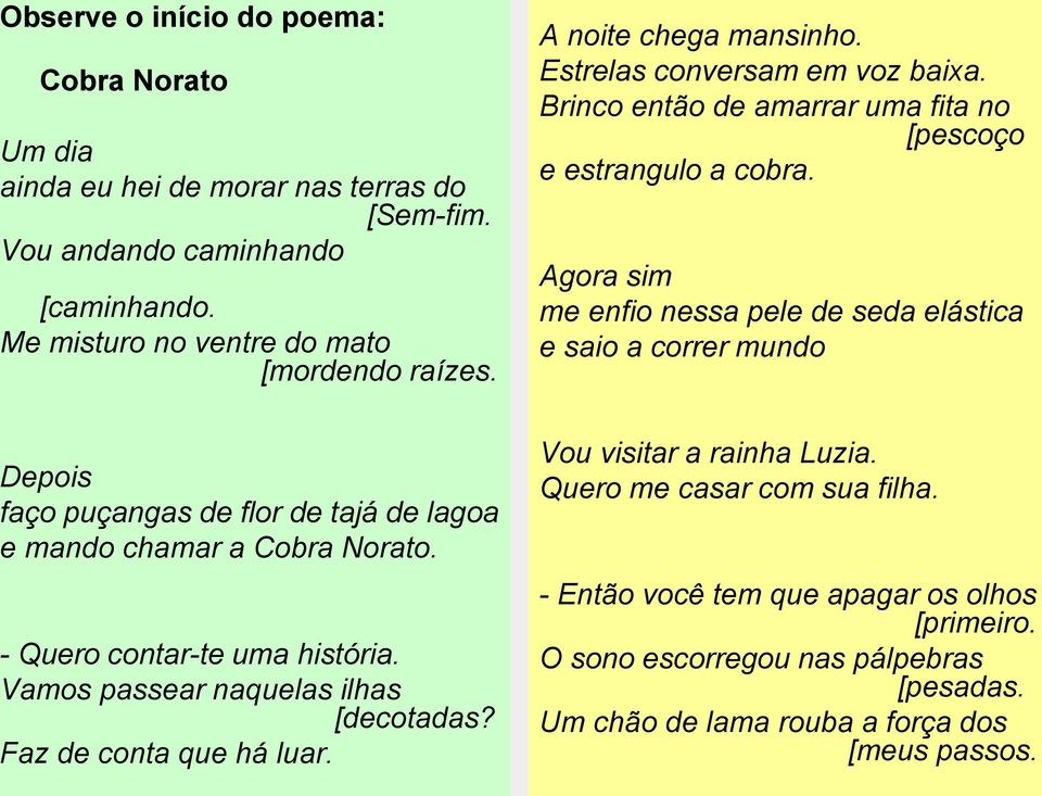 A noite chega mansinho. Estrelas conversam em voz baixa. Brinco então de amarrar uma fita no [pescoço e estrangulo a cobra.