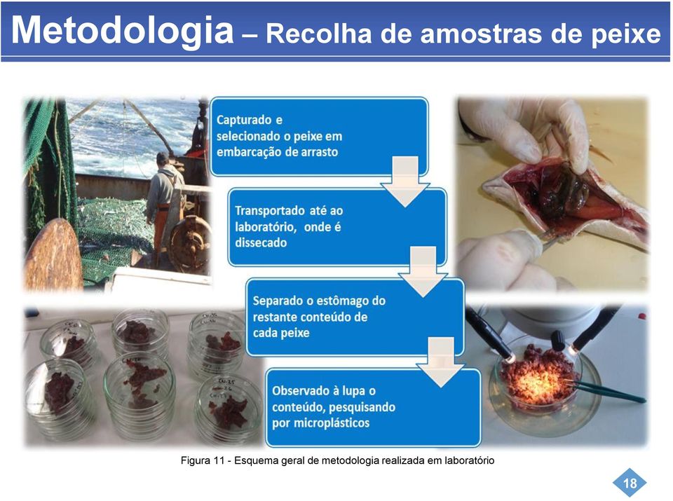 - Esquema geral de