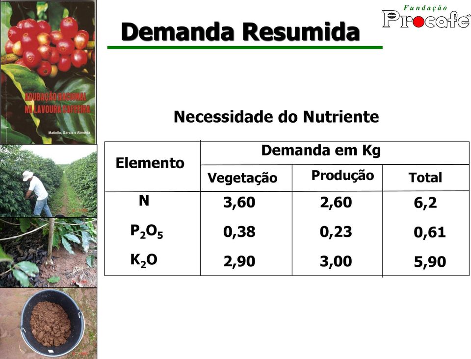 Vegetação Produção 3,60 2,60 Total