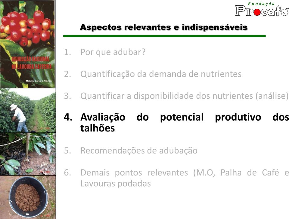 Quantificar a disponibilidade dos nutrientes (análise) 4.