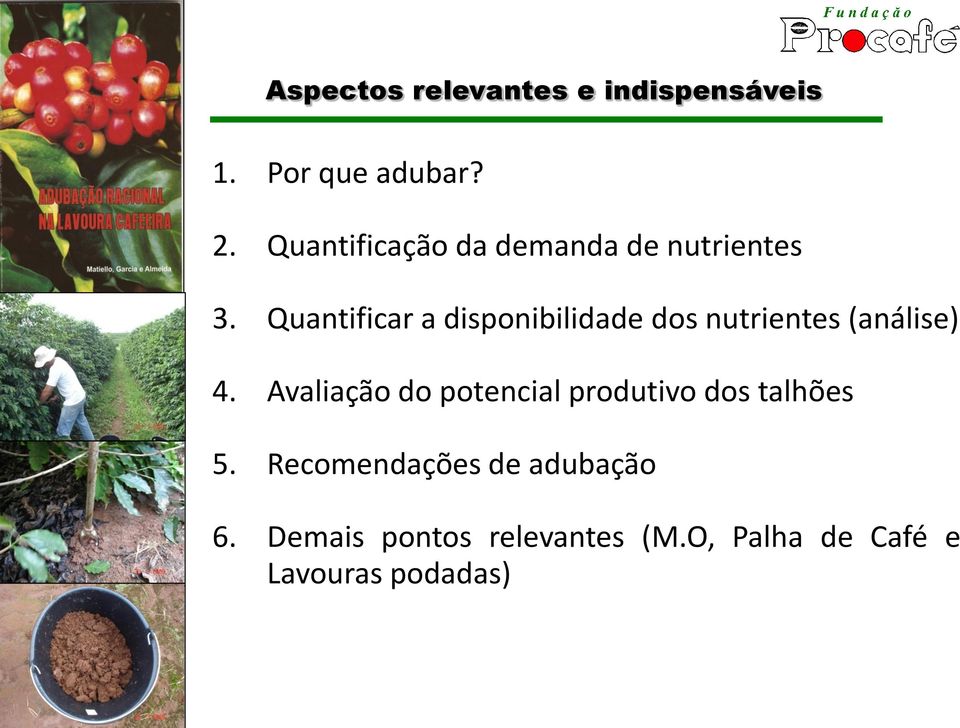 Quantificar a disponibilidade dos nutrientes (análise) 4.