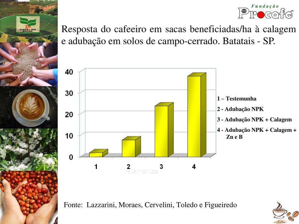 1 Testemunha 2 - Adubação NPK 3 - Adubação NPK + Calagem 4 -