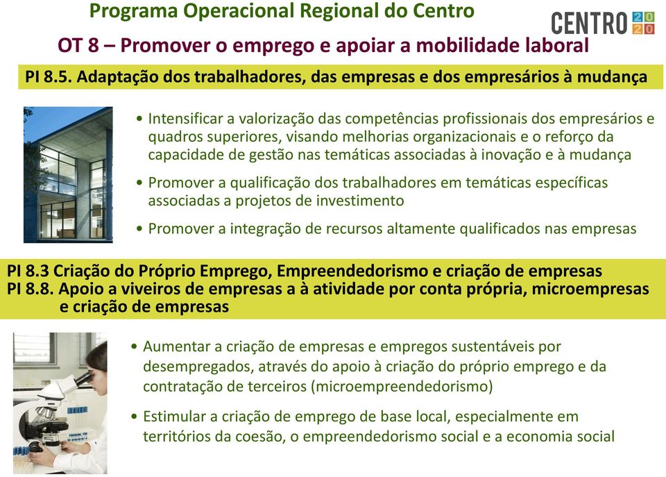 e o reforço da capacidade de gestão nas temáticas associadas à inovação e à mudança Promover a qualificação dos trabalhadores em temáticas específicas associadas a projetos de investimento Promover a