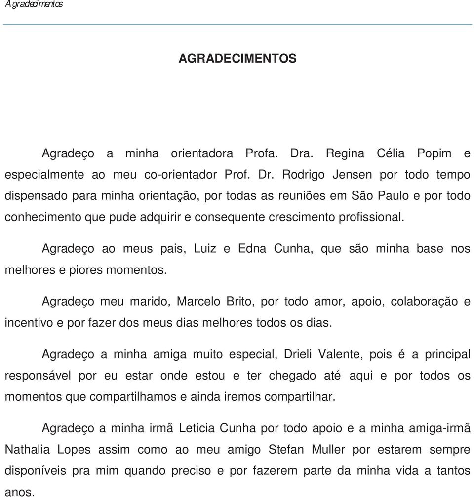 Rodrigo Jensen por todo tempo dispensado para minha orientação, por todas as reuniões em São Paulo e por todo conhecimento que pude adquirir e consequente crescimento profissional.