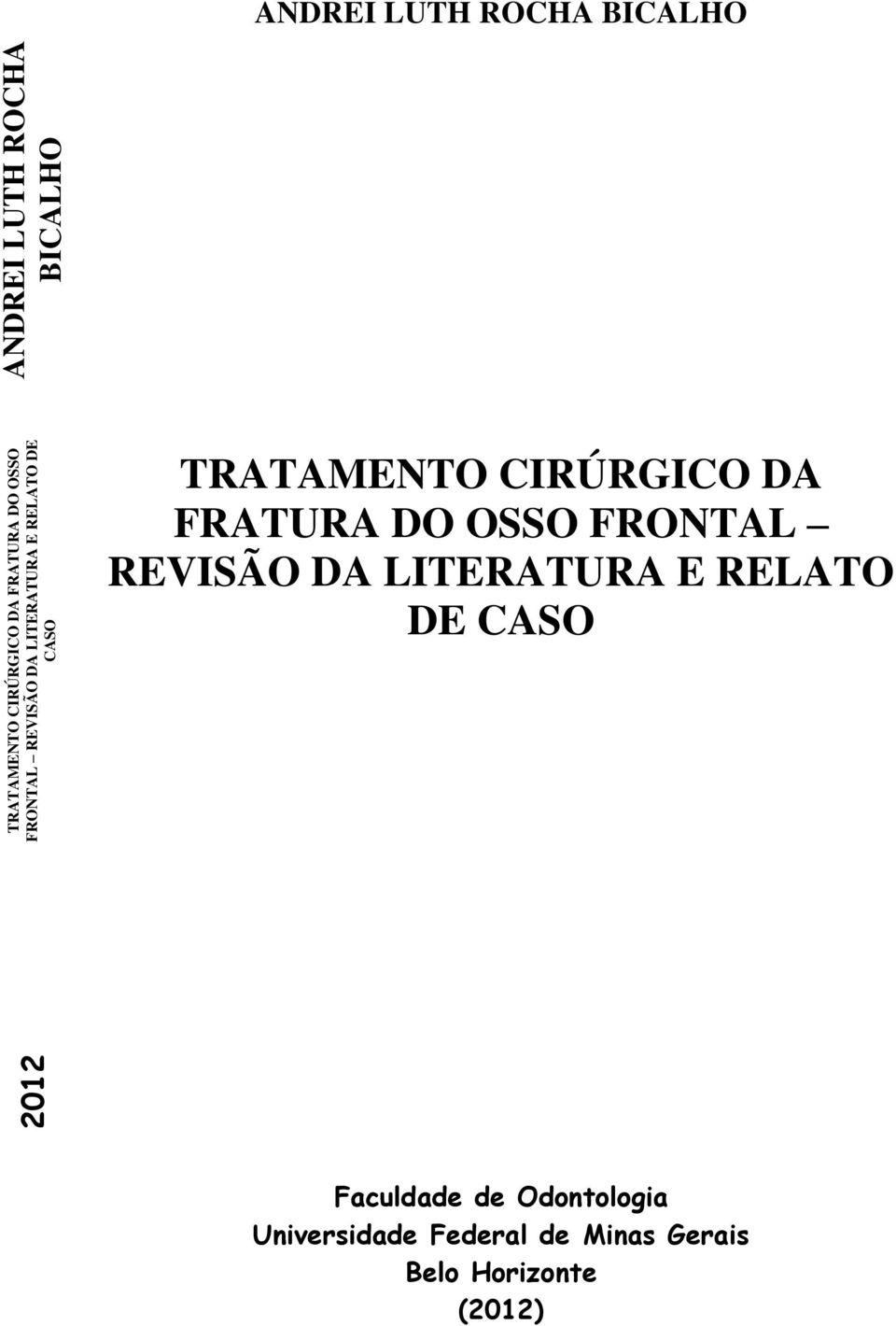 CIRÚRGICO DA FRATURA DO OSSO FRONTAL REVISÃO DA LITERATURA E RELATO DE CASO