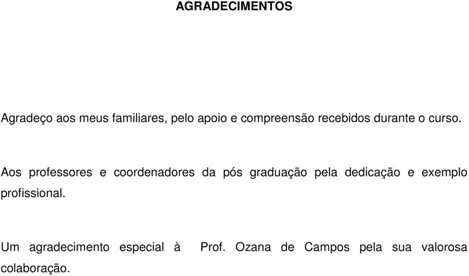 Aos professores e coordenadores da pós graduação pela dedicação e