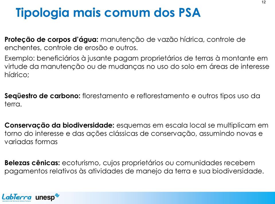 carbono: florestamento e reflorestamento e outros tipos uso da terra.