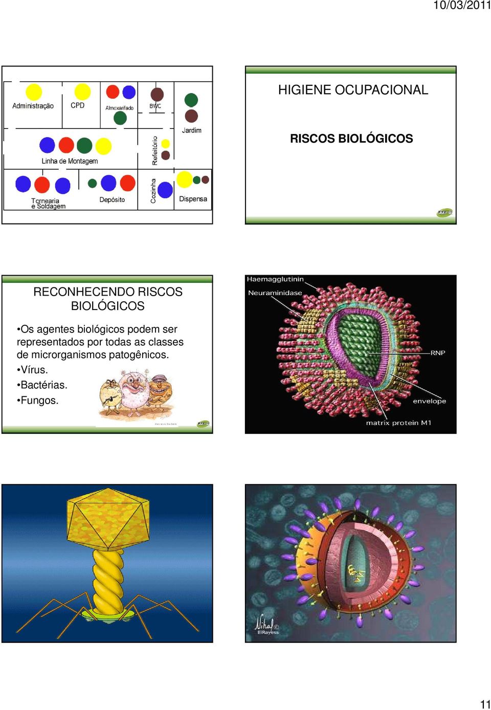 representados por todas as classes de