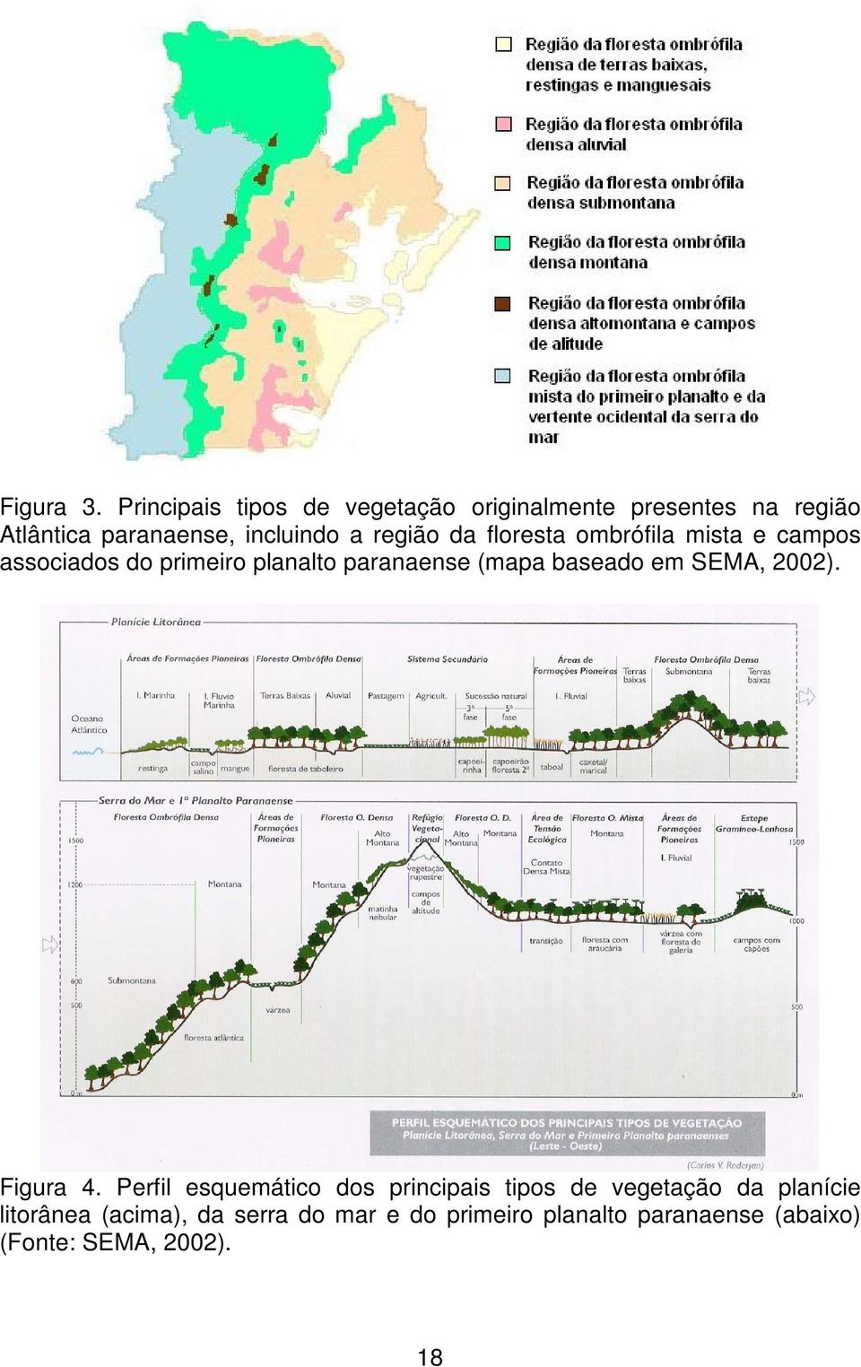 região da floresta ombrófila mista e campos associados do primeiro planalto paranaense (mapa baseado