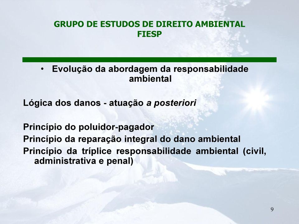 Princípio da reparação integral do dano ambiental Princípio da