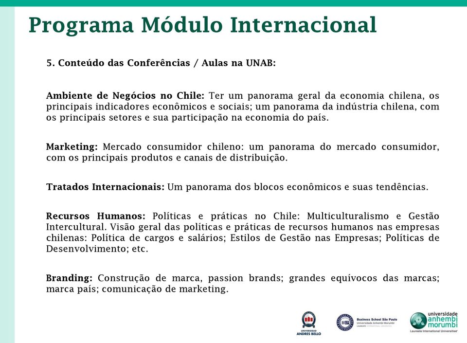 com os principais setores e sua participação na economia do país. Marketing: Mercado consumidor chileno: um panorama do mercado consumidor, com os principais produtos e canais de distribuição.