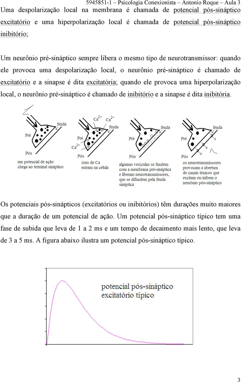 hiperpolarização local, o neurônio pré-sináptico é chamado de inibitório e a sinapse é dita inibitória.