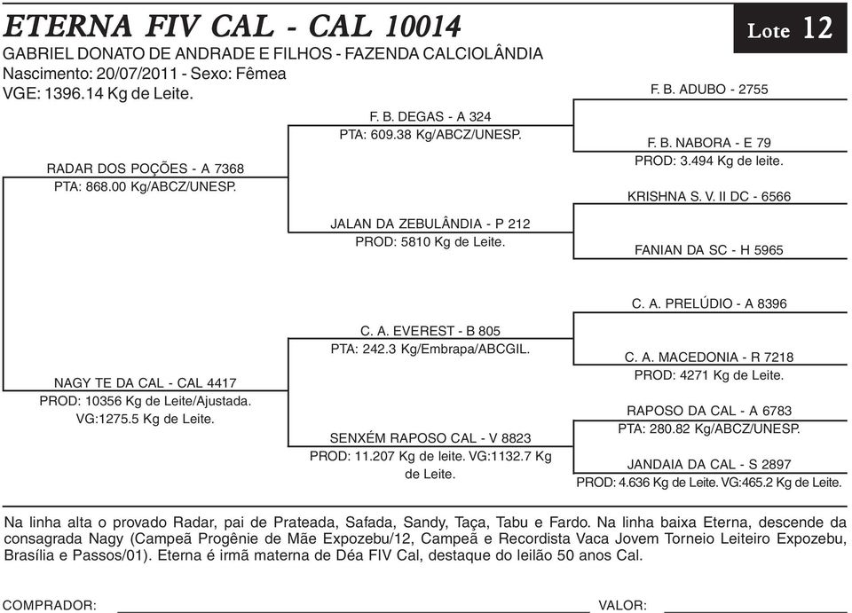 II DC - 6566 FANIAN DA SC - H 5965 12 Lote 12 NAGY TE DA CAL - CAL 4417 PROD: 10356 Kg de Leite/Ajustada. VG:1275.5 Kg de Leite. SENXÉM RAPOSO CAL - V 8823 PROD: 11.207 Kg de leite. VG:1132.