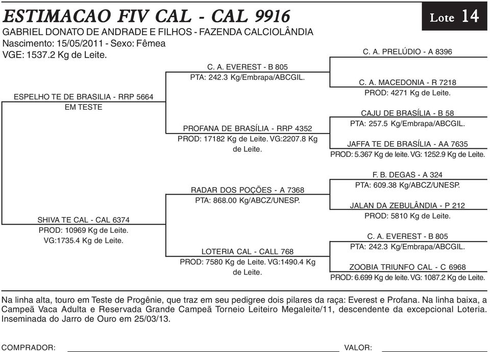 CAJU DE BRASÍLIA - B 58 PTA: 257.5 Kg/Embrapa/ABCGIL. 14 Lote 14 JAFFA TE DE BRASÍLIA - AA 7635 PROD: 5.367 Kg de leite. VG: 1252.9 Kg de Leite. SHIVA TE CAL - CAL 6374 PROD: 10969 Kg de Leite.