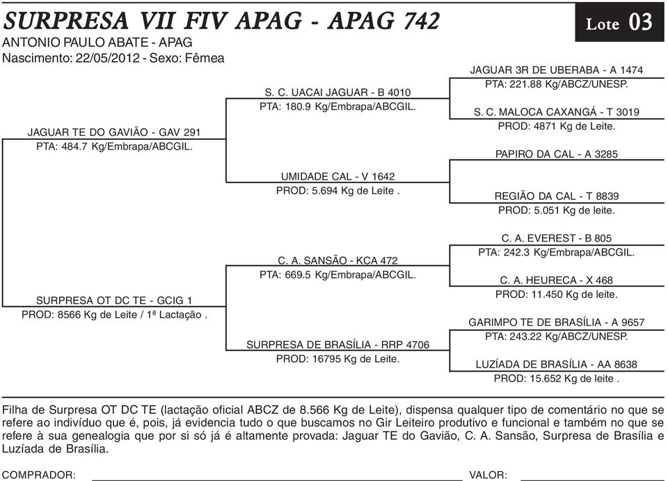 PAPIRO DA CAL - A 3285 REGIÃO DA CAL - T 8839 PROD: 5.051 Kg de leite. 03 Lote 03 SURPRESA OT DC TE - GCIG 1 PROD: 8566 Kg de Leite / 1ª Lactação. C. A. SANSÃO - KCA 472 PTA: 669.5 Kg/Embrapa/ABCGIL.