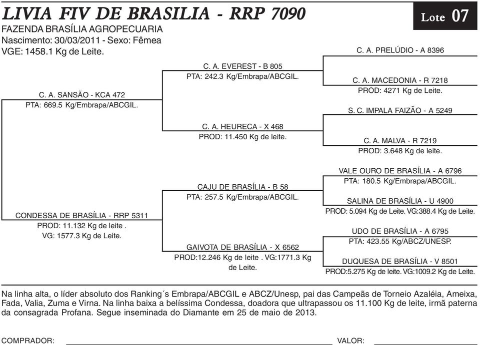 07 Lote 07 CONDESSA DE BRASÍLIA - RRP 5311 PROD: 11.132 Kg de leite. VG: 1577.3 Kg de Leite. CAJU DE BRASÍLIA - B 58 PTA: 257.5 Kg/Embrapa/ABCGIL. GAIVOTA DE BRASÍLIA - X 6562 PROD:12.246 Kg de leite.