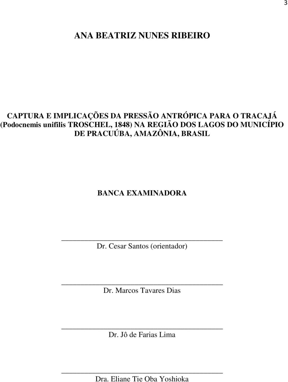 MUNICÍPIO DE PRACUÚBA, AMAZÔNIA, BRASIL BANCA EXAMINADORA Dr.