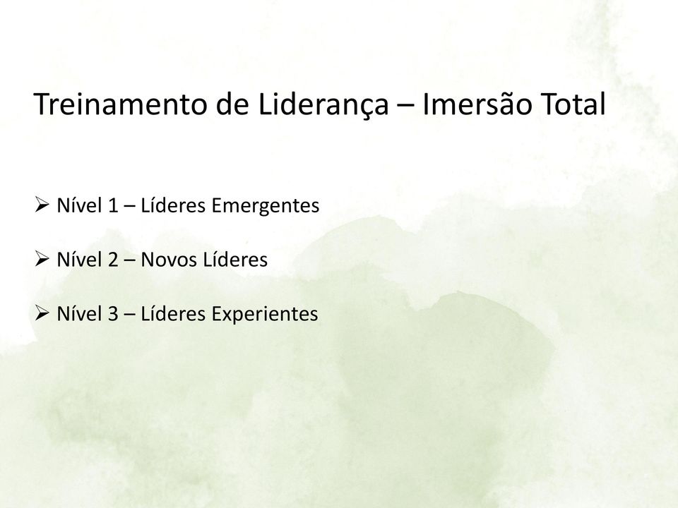 Líderes Emergentes Nível 2