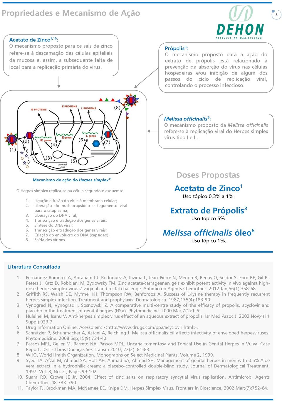 Própolis 3 : O mecanismo proposto para a ação do extrato de própolis está relacionado à prevenção da absorção do vírus nas células hospedeiras e/ou inibição de algum dos passos do ciclo de replicação