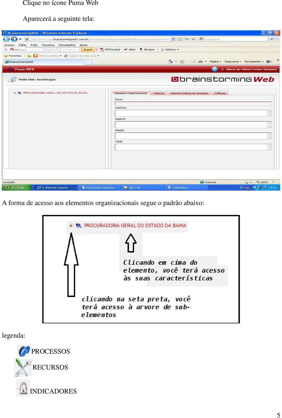 elementos organizacionais segue o padrão