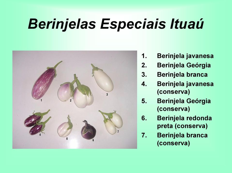 Berinjela javanesa (conserva) 5.