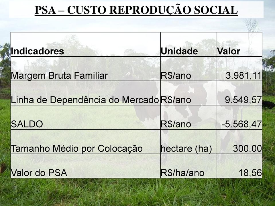 981,11 Linha de Dependência do Mercado R$/ano 9.