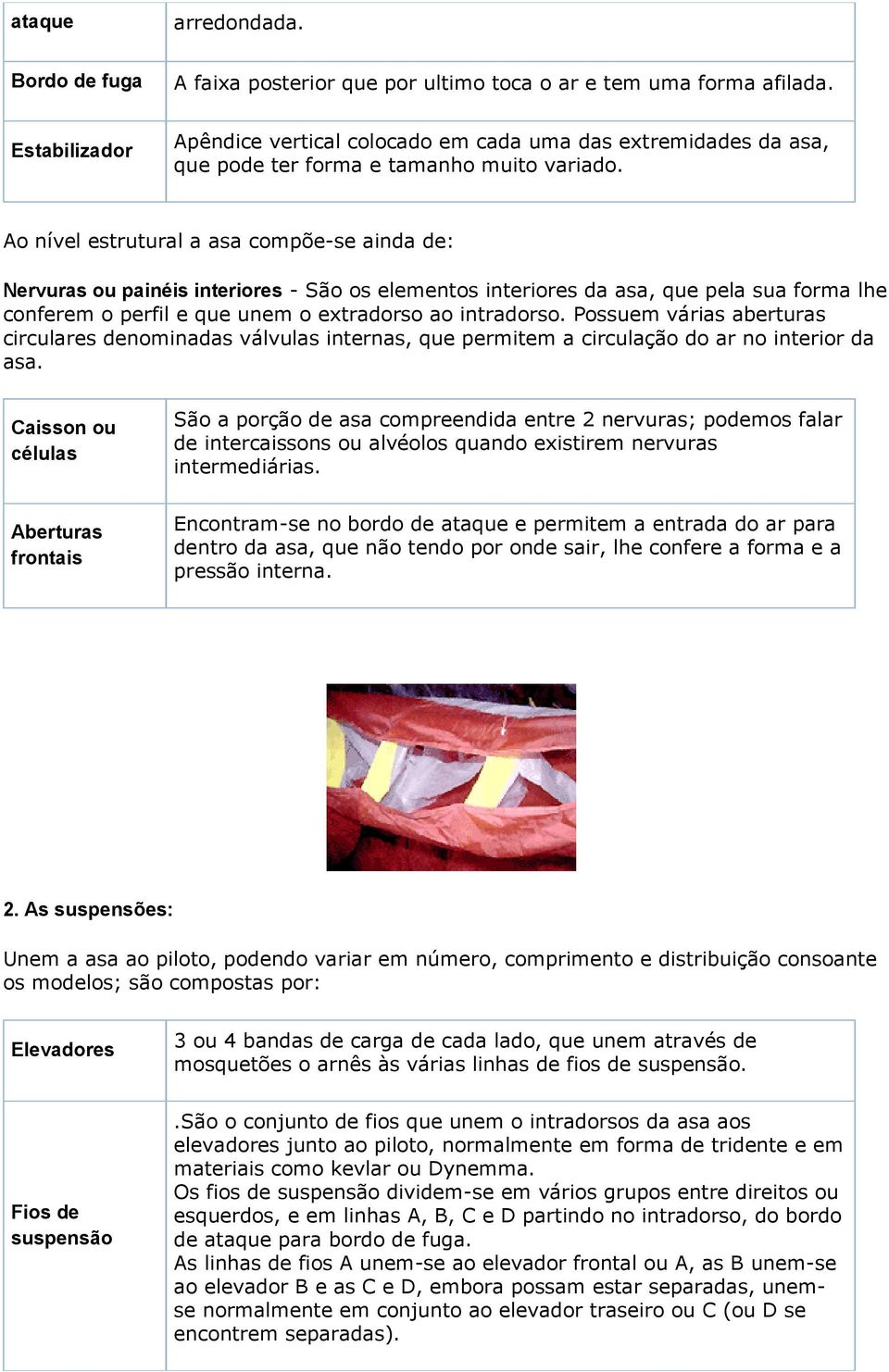 Ao nível estrutural a asa compõe-se ainda de: Nervuras ou painéis interiores - São os elementos interiores da asa, que pela sua forma lhe conferem o perfil e que unem o extradorso ao intradorso.