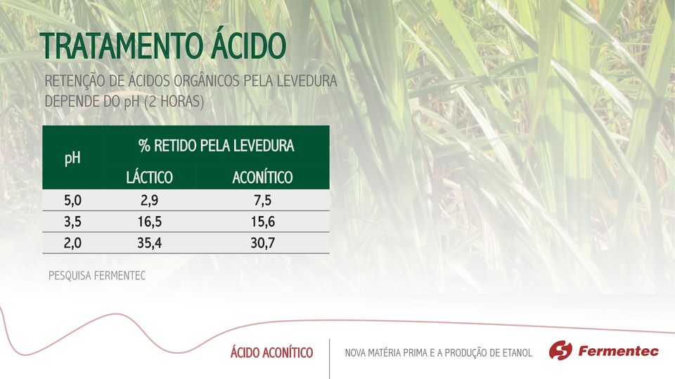 LEVEDURA LÁCTICO ACONÍTICO 5,0 2,9 7,5 3,5 16,5