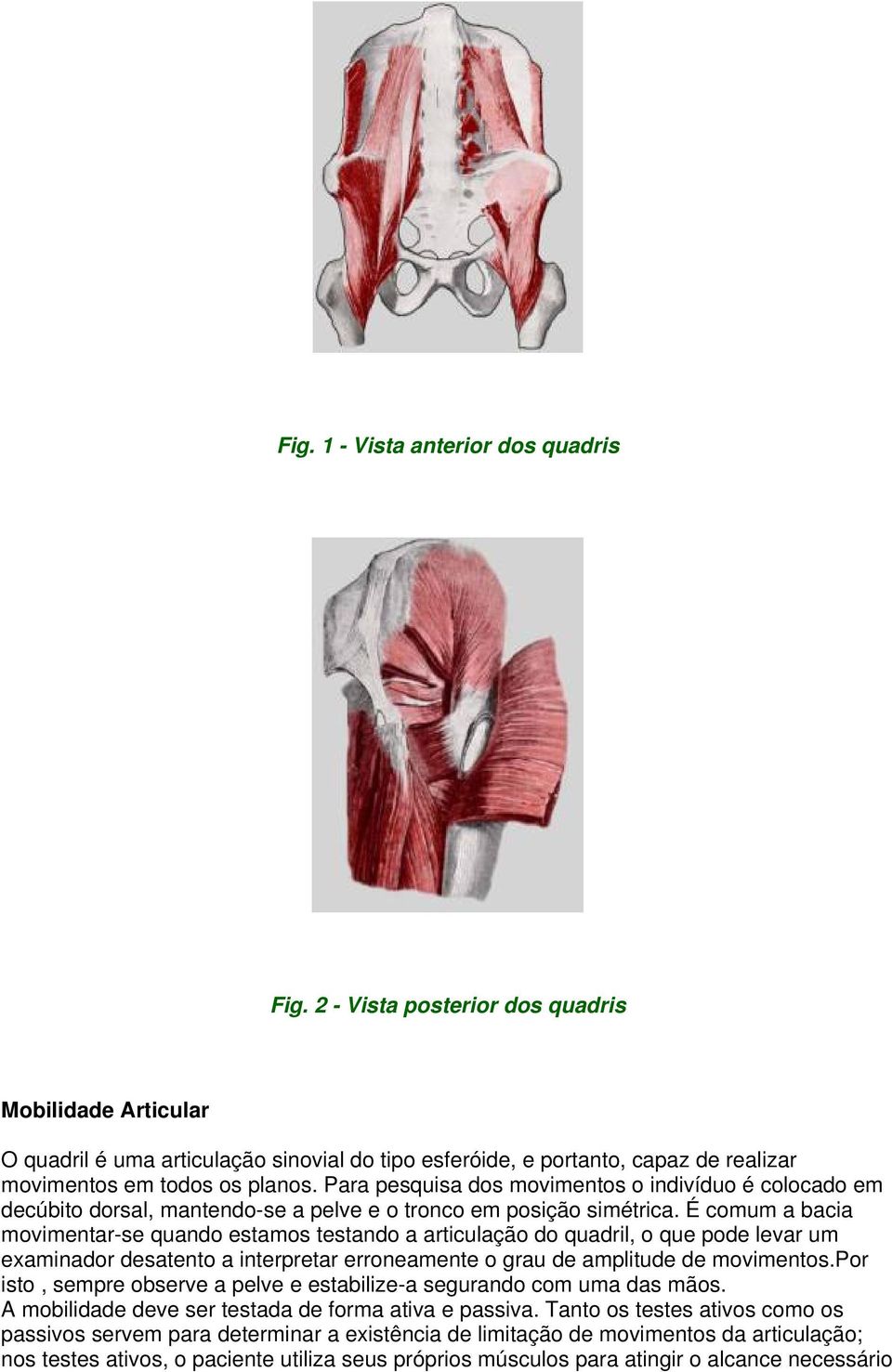 Para pesquisa dos movimentos o indivíduo é colocado em decúbito dorsal, mantendo-se a pelve e o tronco em posição simétrica.