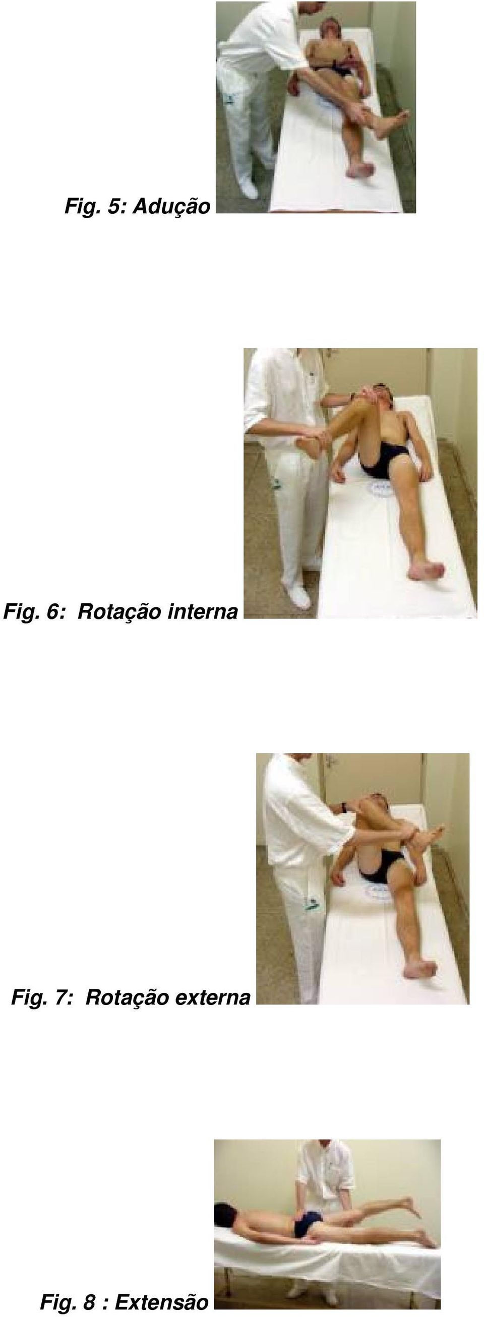 Fig. 7: Rotação